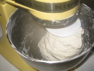 Southern Style Biscuits Stand Mixer Dough Hook